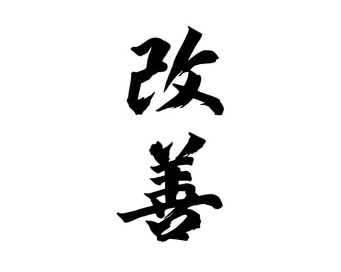 Kitchen Kaizen  (1)